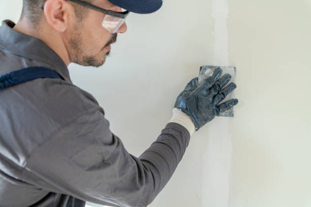 Professional Painting & Drywall Services in Shoemakersville, PA